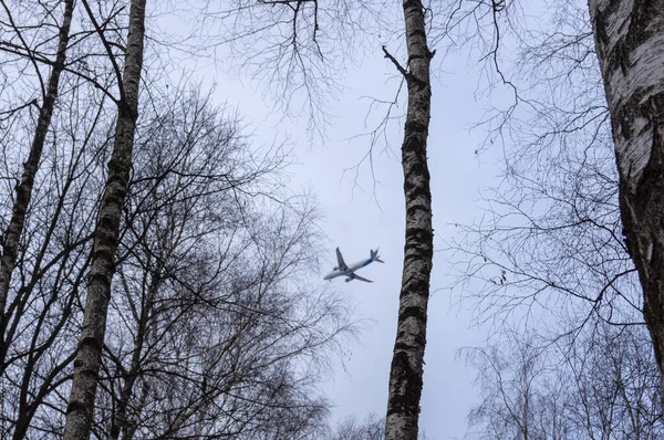 Літак Літає Над Деревами Ясний Зимовий День — стокове фото