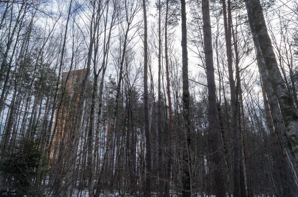 Σπίτια Στην Περιοχή Salaryevo Της Πόλης Της Μόσχας Ένα Χειμερινό — Φωτογραφία Αρχείου