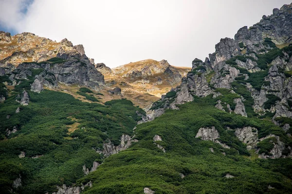 Ορεινό τοπίο, με θέα στο βουνό — Φωτογραφία Αρχείου