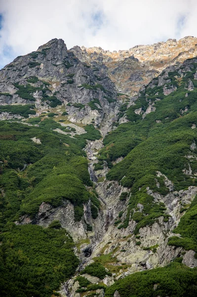 Горный пейзаж, вид на горы — стоковое фото