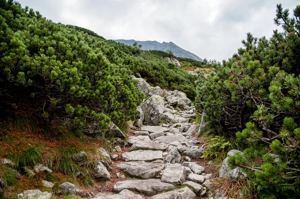 산에 좁은 돌 경로 — 스톡 사진