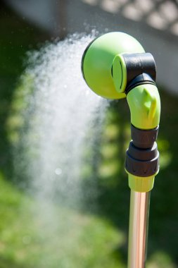 bir duş bahçede sıcak yaz gününde alır.