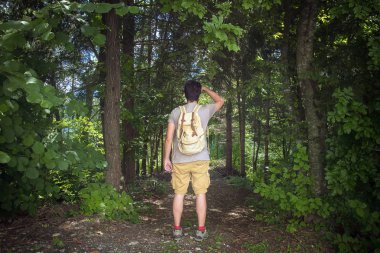 Yürüyüşçü doğal bir yol izliyor. Ormanda sırt çantalı bir adamın arka görüntüsü