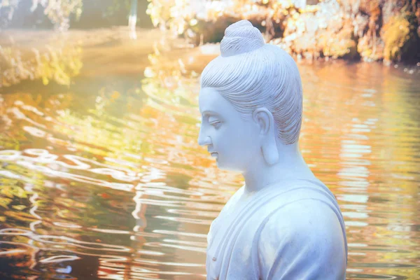 meditation of Buddha in the nature, closeup of statue surrounded by water that seems to cause spiritual waves