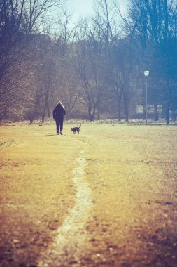 Yalnız kişi köpekle yürüyor, resmin altında kopyalama alanı mevcut.