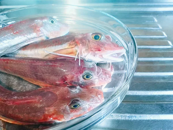 Defrosting Seafood Fishes Glass Bowl — Stock Photo, Image