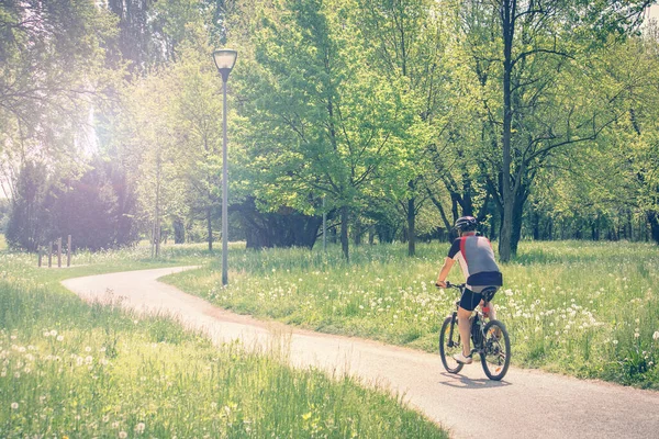 Cycling in a park, outdoor image of sporty man