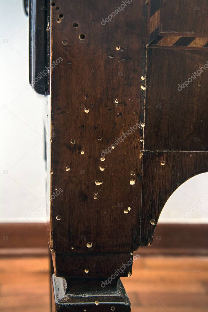 Woodworm holes, nightstand damaged by the common furniture beetle 