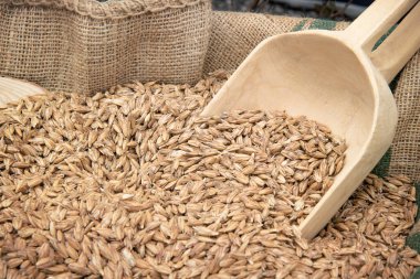 Çiğ hecelenmiş, tohumların yakını ahşap bir kepçeyle