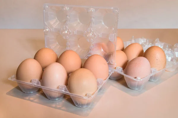 Recipiente Plástico Con Huevos Alimentos Almacenados Cajas Especiales —  Fotos de Stock