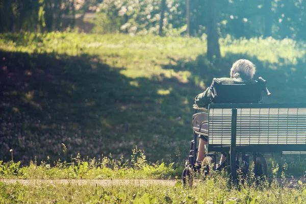 Бабушка Сидит Инвалидной Коляске Бросили Парке — стоковое фото