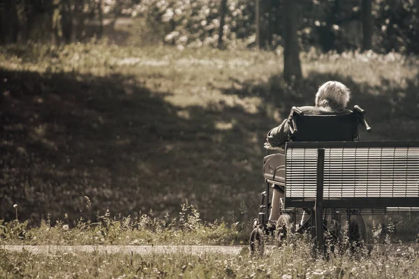 Пожилой Человек Сидящий Парке Картина Тонус Грусти — стоковое фото