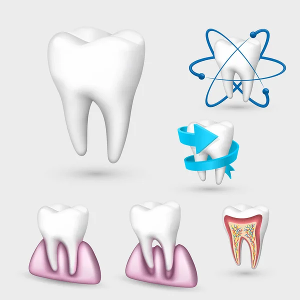 3D-collectie van de tand. Tand instellen Vectorillustratie. — Stockvector