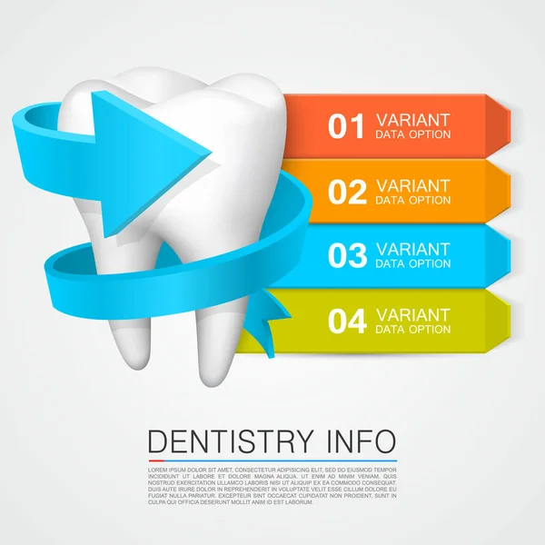 Tooth information with numbering. Dentistry info. — Stock Vector