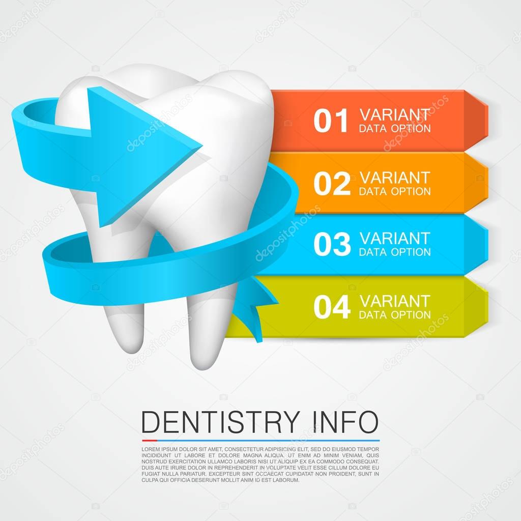 Tooth information with numbering. Dentistry info.