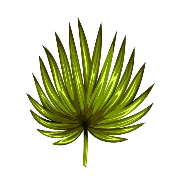 Vert feuille de palmier isolé sur fond blanc. Icône de feuille de palmier. — Image vectorielle