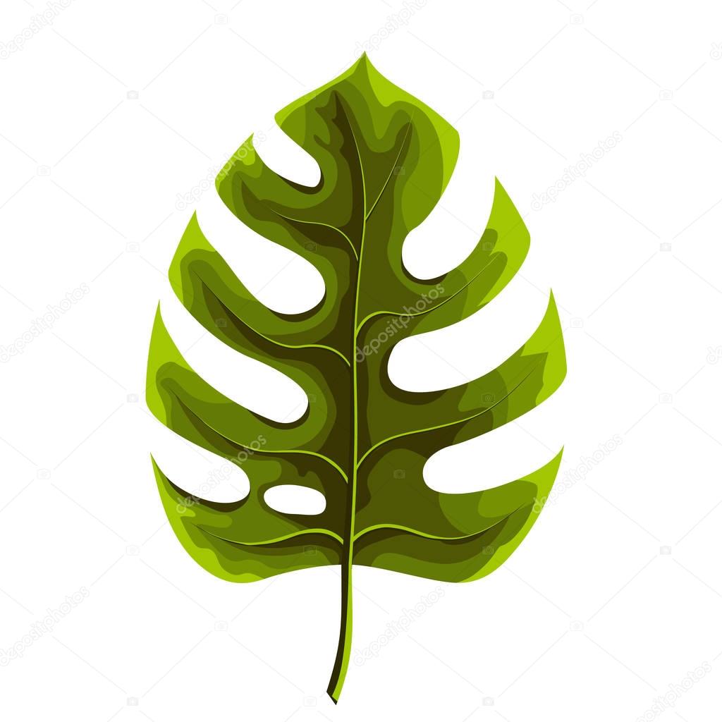 Green leaf of palm tree isolated on white background. Palm leaf icon.