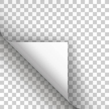 Sayfa curl boş kağıt üzerine gölge ile.