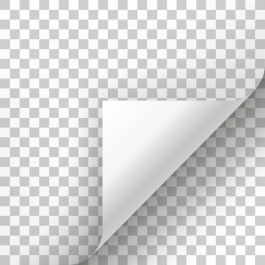 Sayfa curl boş kağıt üzerine gölge ile.