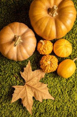 Turuncu tonlu sonbahar merkezi arkaplanı