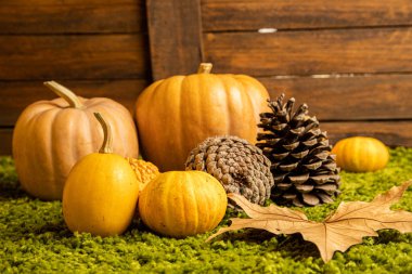 Turuncu tonlu sonbahar merkezi arkaplanı