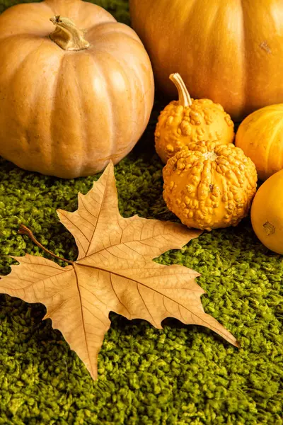 Herbst Zentrum Hintergrund Mit Orangen Tönen — Stockfoto