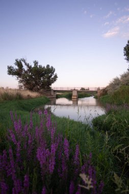 Torres de Berrellen Zaragoza İspanya 'daki Jalon Nehri' nden geçen köprüler.