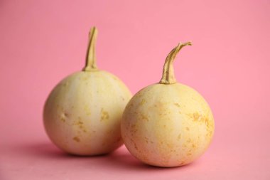 Pembe arka planda balkabakları. Sonbahar hasadı