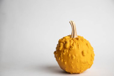 Beyaz arkaplanda mükemmel balkabakları