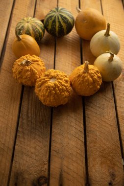 Ahşap arka planda çeşitli kabak çeşitleri. Sonbahar hasadı