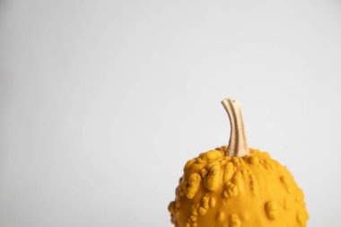 Beyaz arkaplanda mükemmel balkabakları