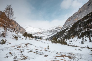 Pireneler İspanya 'da karlı sonbaharda Ordesa Ulusal Vadisi