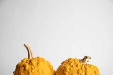 Beyaz arkaplanda mükemmel balkabakları