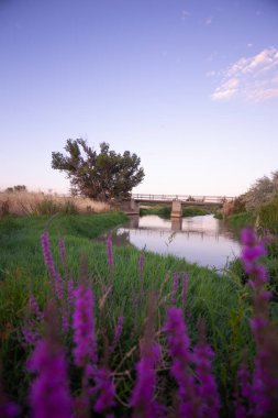 Torres de Berrellen Zaragoza İspanya 'daki Jalon Nehri' nden geçen köprüler.