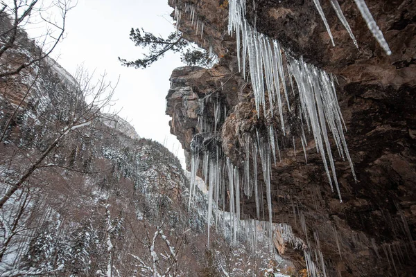 スペインのピレネー山脈に位置する雪の秋のオルデサ国立渓谷 — ストック写真