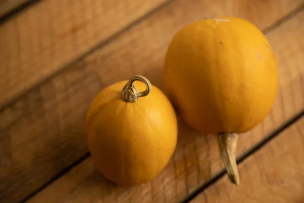 Vario Assortimento Zucche Uno Sfondo Legno Raccolta Autunnale — Foto Stock