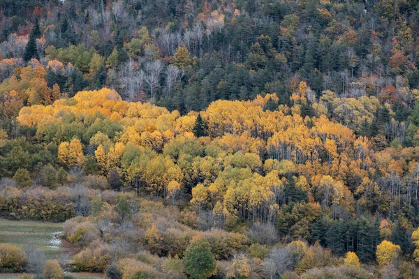 Осенью Долина Брато Расположенная Испанском Пьесе — стоковое фото