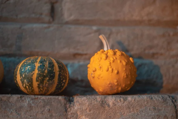 Herfst Achtergrond Met Pompoenen Ideaal Voor Halloween — Stockfoto