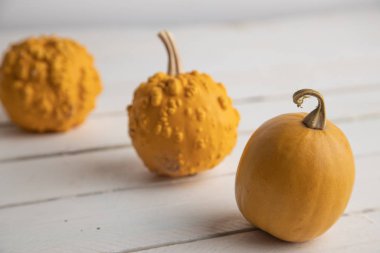 Ahşap arka planda çeşitli kabak çeşitleri. Sonbahar hasadı