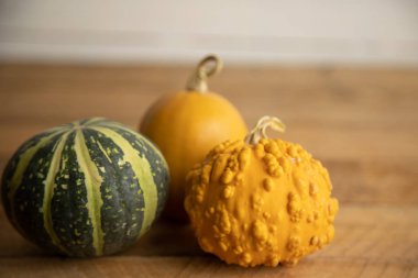 Ahşap arka planda çeşitli kabak çeşitleri. Sonbahar hasadı