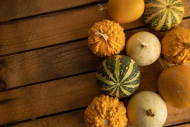 Ahşap arka planda çeşitli kabak çeşitleri. Sonbahar hasadı