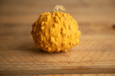 Ahşap arka planda çeşitli kabak çeşitleri. Sonbahar hasadı