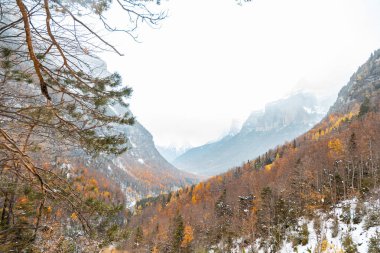Pireneler İspanya 'da karlı sonbaharda Ordesa Ulusal Vadisi