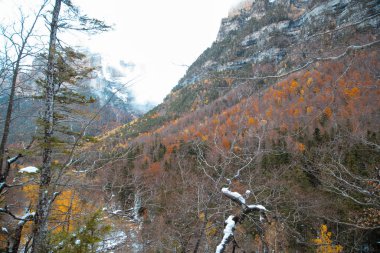 Pireneler İspanya 'da karlı sonbaharda Ordesa Ulusal Vadisi