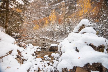 Pireneler İspanya 'da karlı sonbaharda Ordesa Ulusal Vadisi