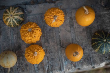 Cadılar bayramı için ideal balkabaklarıyla sonbahar arkaplanı