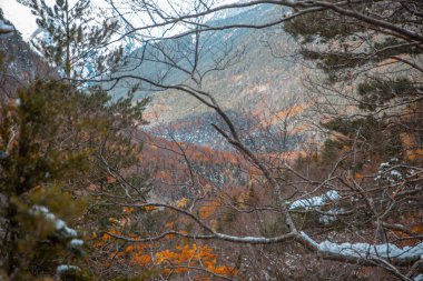 Pireneler İspanya 'da karlı sonbaharda Ordesa Ulusal Vadisi