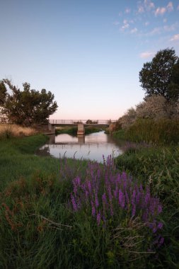 Torres de Berrellen Zaragoza İspanya 'daki Jalon Nehri' nden geçen köprüler.