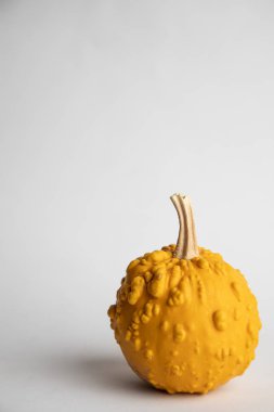 Beyaz arkaplanda mükemmel balkabakları