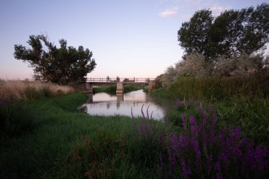 Torres de Berrellen Zaragoza İspanya 'daki Jalon Nehri' nden geçen köprüler.